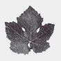 Barbera