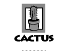 Cactus Restaurante