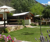 Buena Vista