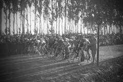 Carrera de bicicletas