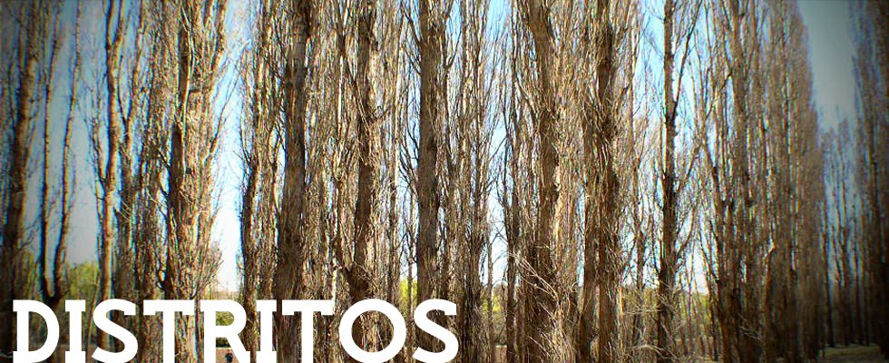 Distritos 4