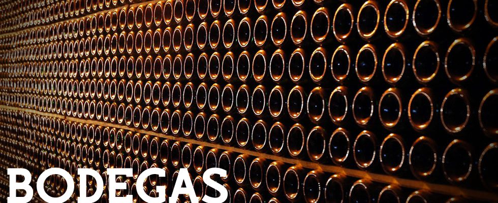 Bodega 2