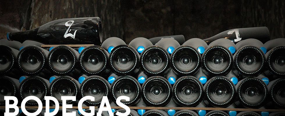 Bodega 3