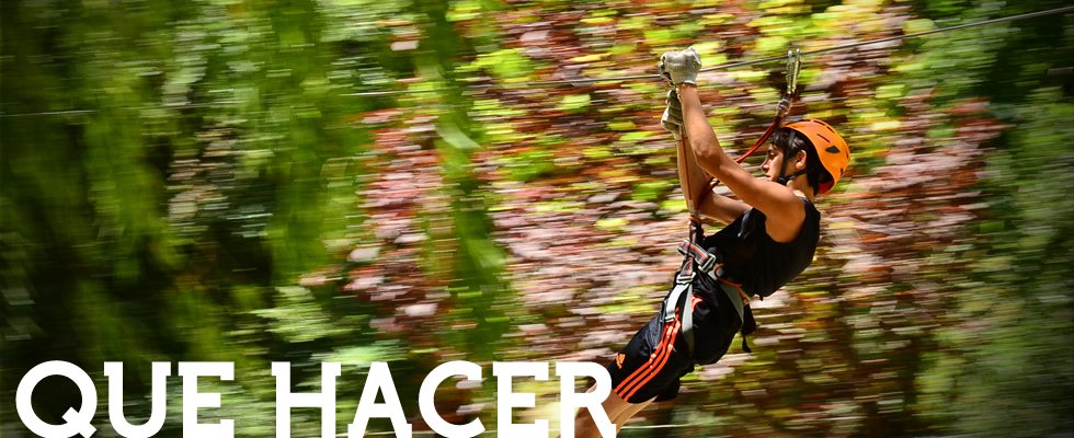 Que Hacer