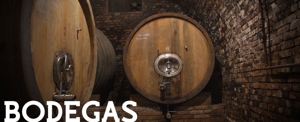 Bodega 4